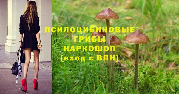 apvp Красноперекопск
