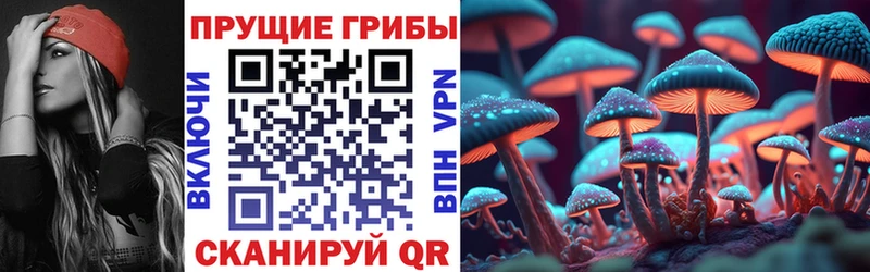 наркота  Иваново  Галлюциногенные грибы прущие грибы 